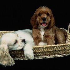 Схема вышивки «№25861»