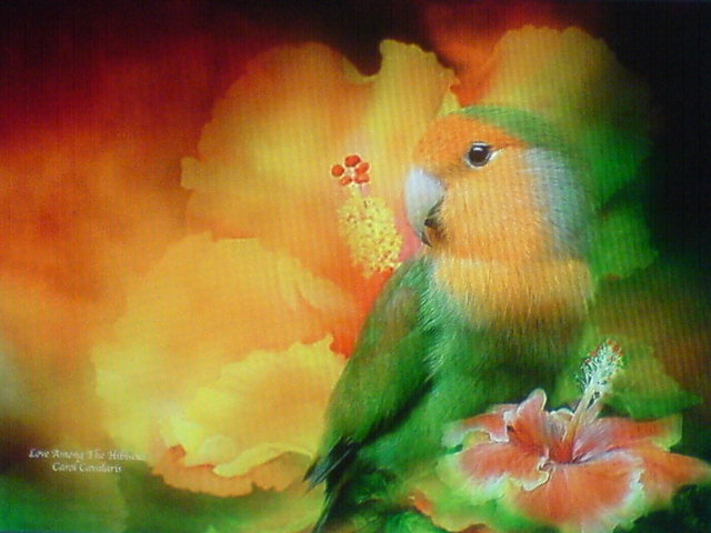 серия"Цветочная мистерия"Кэрола  Кавалариса - природа, цветы - оригинал