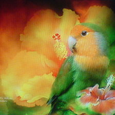 Схема вышивки «серия"Цветочная мистерия"Кэрола  Кавалариса»