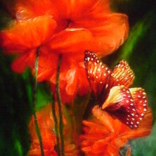 Схема вышивки «серия"Цветочная мистерия"Кэрола  Кавалариса»