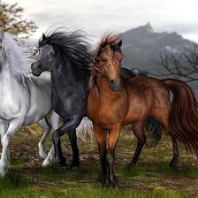 Схема вышивки «трио»