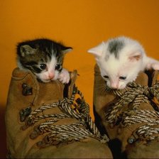 Схема вышивки «№26329»