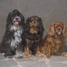 Схема вышивки «№26331»