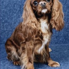 Схема вышивки «№26333»