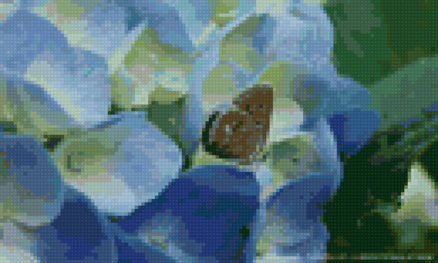 гортензия и бабочка - предпросмотр