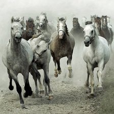 Схема вышивки «Табун»