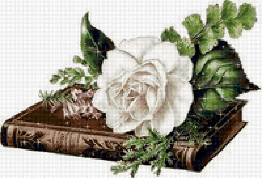 №26433 - предпросмотр