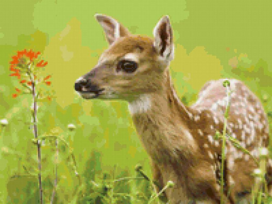 Оленёнок - животное, природа - предпросмотр