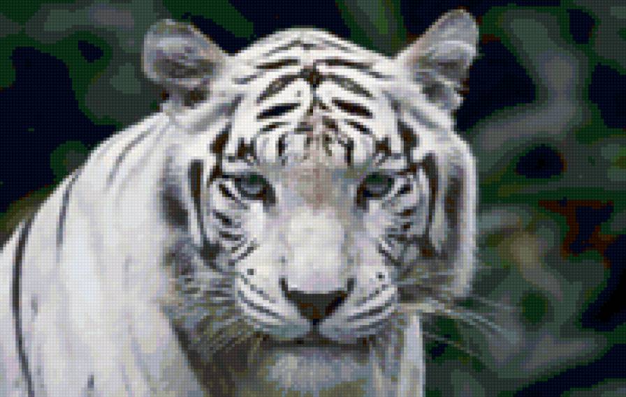 777 - природа, животные - предпросмотр