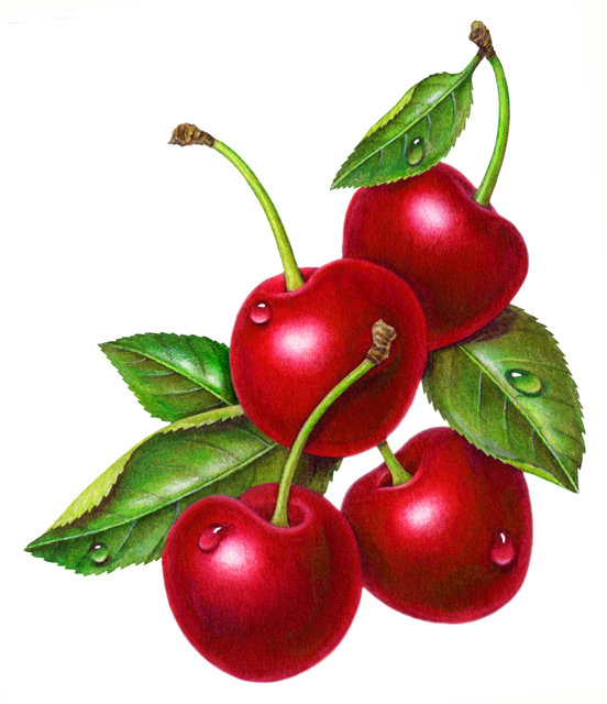 Вишенки - вишенка, вишенки, фрукты, ягодки, ягоды, панно - оригинал