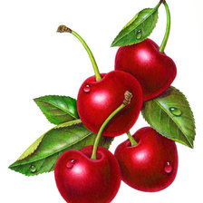 Схема вышивки «Вишенки»