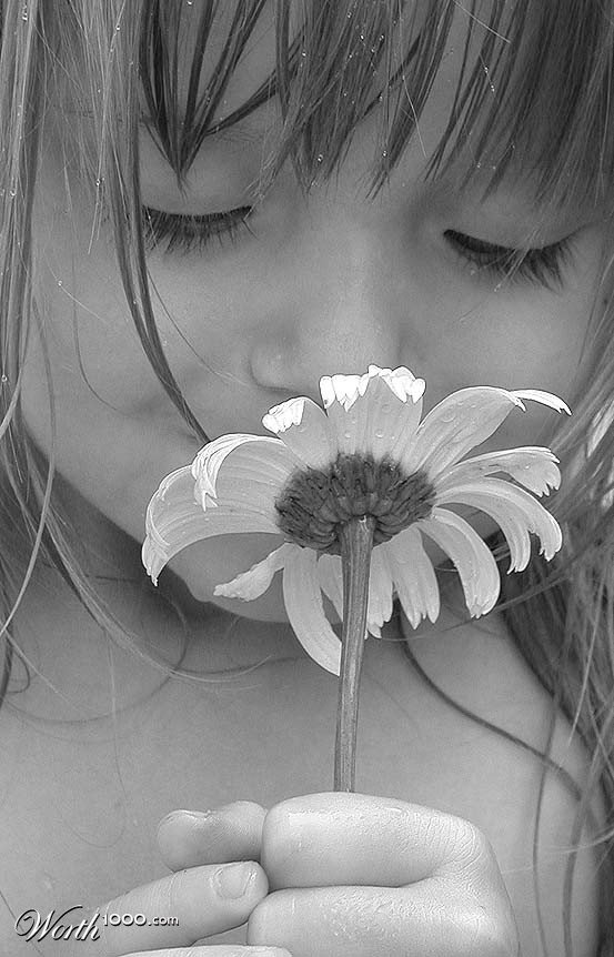 девочка с ромашкой - ромашка, лицо, девочка - оригинал