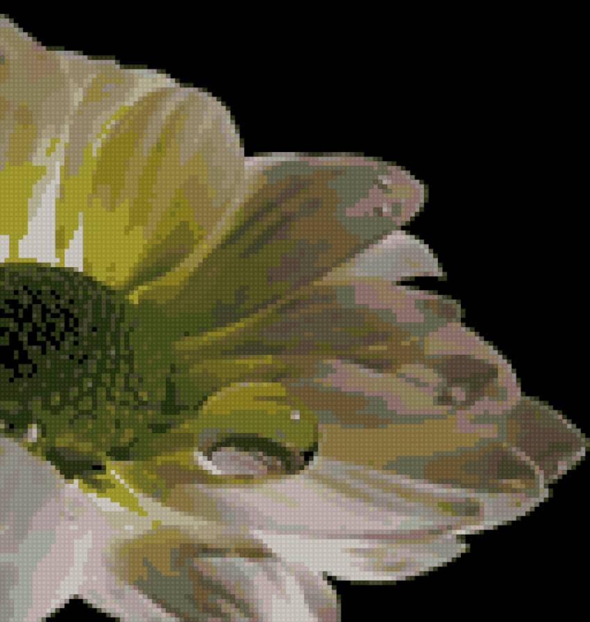 цветок - цветок - предпросмотр