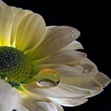 Схема вышивки «цветок»