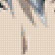 Предпросмотр схемы вышивки «Акиса Ару» (№26866)