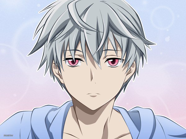 Акиса Ару - аниме, акиса, дневник будущего - оригинал