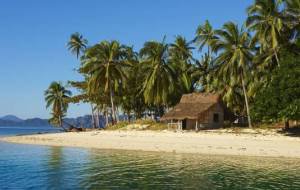 остров - пальма, остров, домик - оригинал