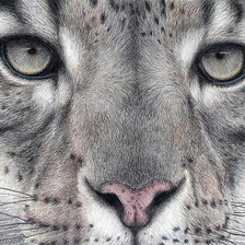 Схема вышивки «Взгляд»