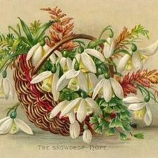 Схема вышивки «5»