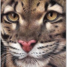 Схема вышивки «№27143»