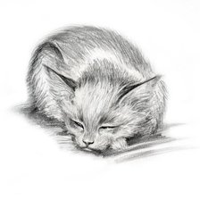 Схема вышивки «кошка»