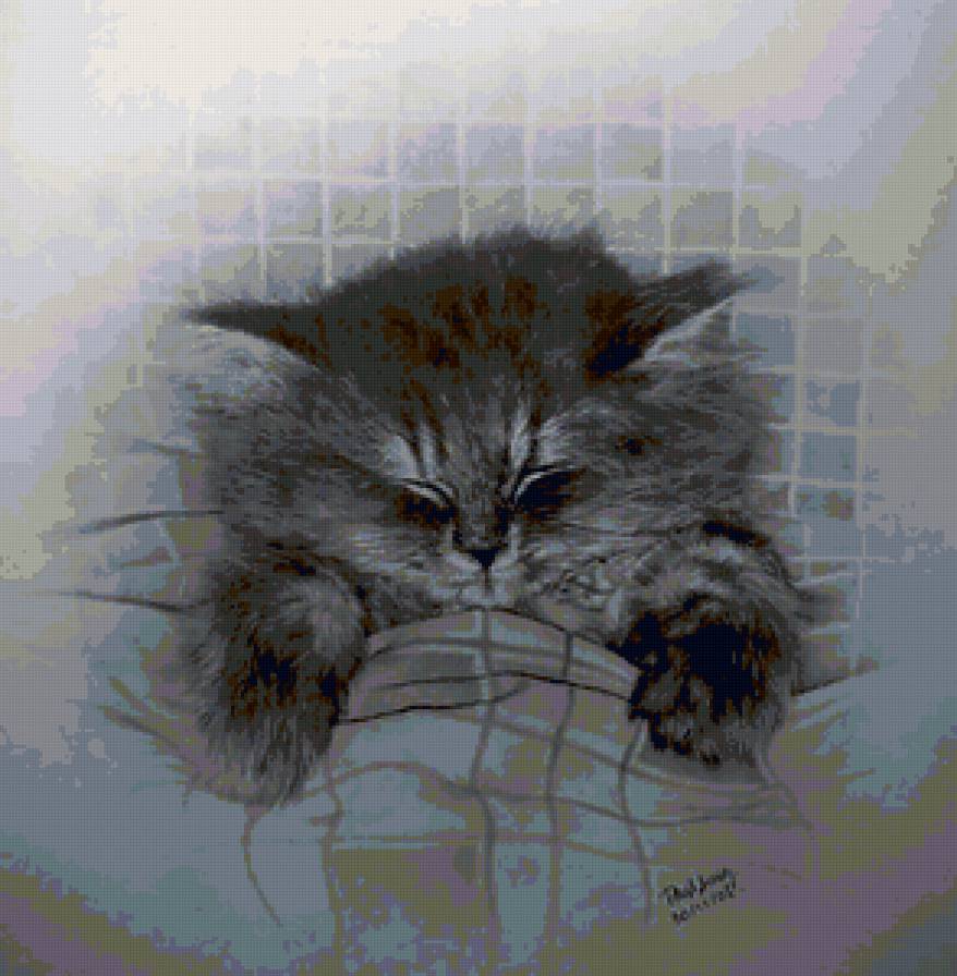 кот - кошка, кот, животные, котенок - предпросмотр