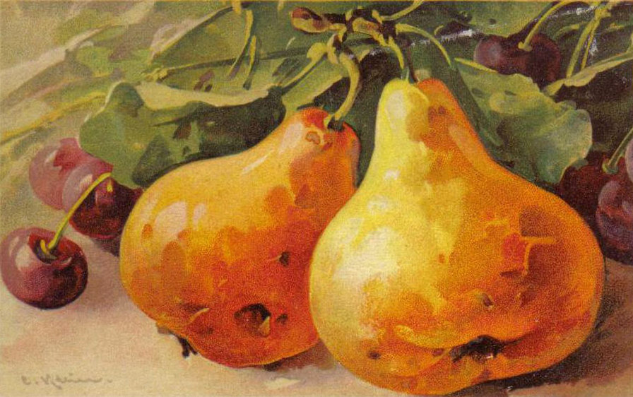 №27448 - оригинал