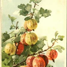 Схема вышивки «№27459»