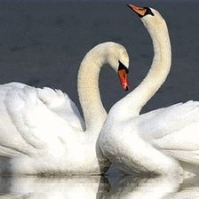 Схема вышивки «лебеди»