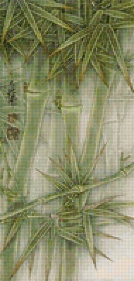 Бамбук - живопись, акварель, природа - предпросмотр