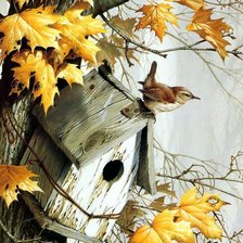 Схема вышивки «скворечник»