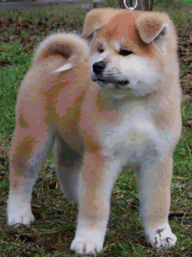 №27660 - предпросмотр