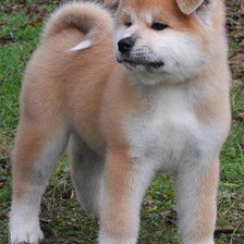 Схема вышивки «№27660»