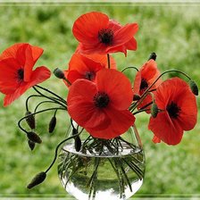 Схема вышивки «цветы в вазе»