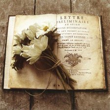 винтажные цветы