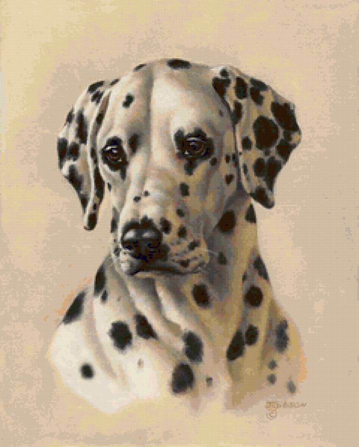 №27770 - предпросмотр