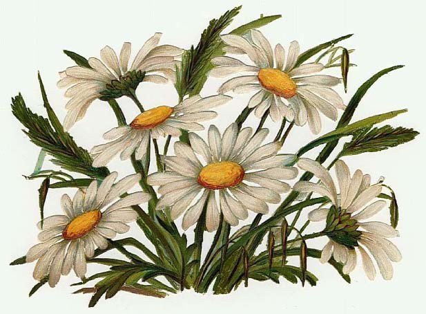 №27774 - оригинал