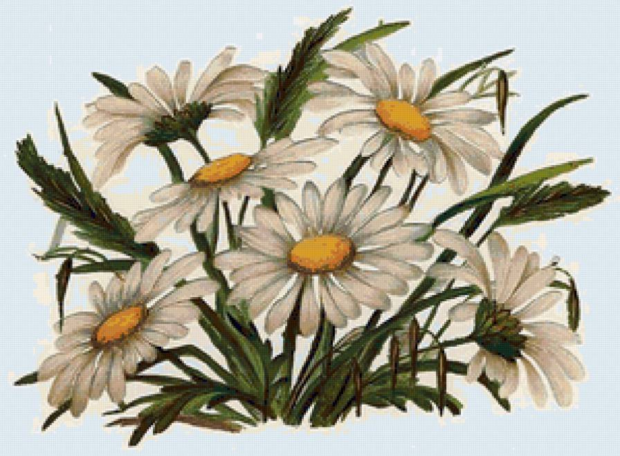 №27774 - предпросмотр