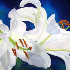 Схема вышивки «Лилии»