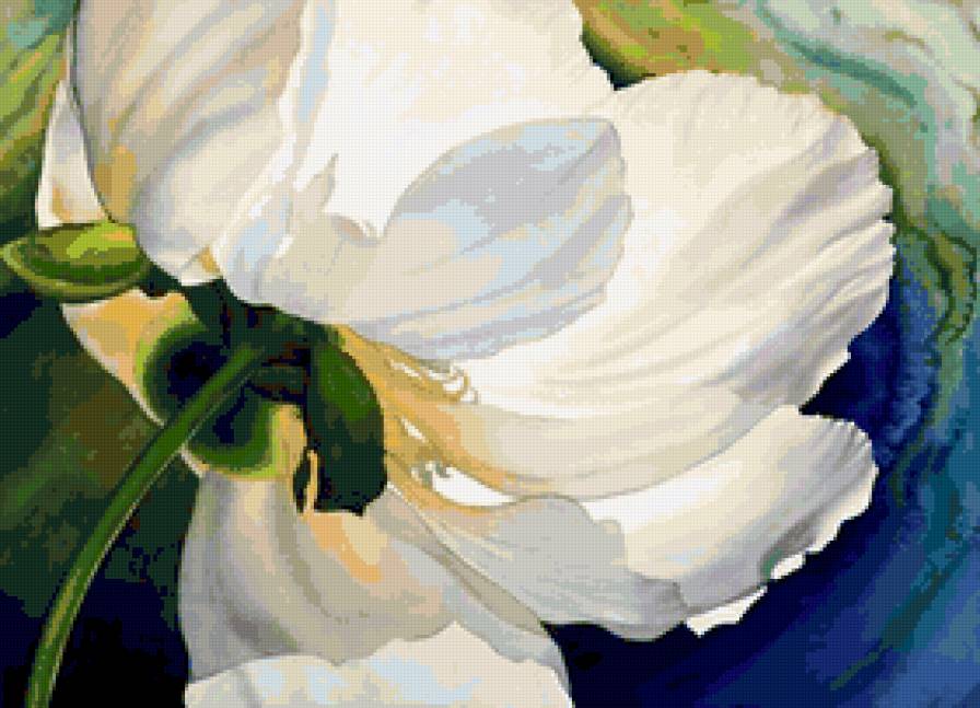 Белый пион - цветы - предпросмотр