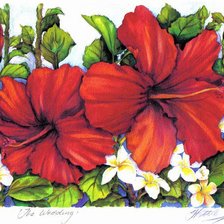 Схема вышивки «Гибискусы»