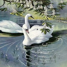 Схема вышивки «лебеди»