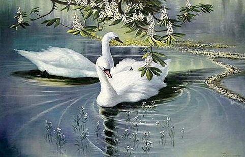 лебеди - животные - оригинал