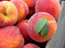 Схема вышивки «натюрморт с персиками»