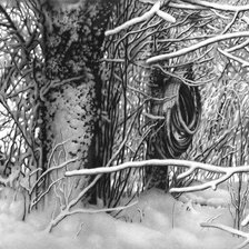 Схема вышивки «зима»