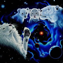 Схема вышивки «Серия "Большие кошки"»