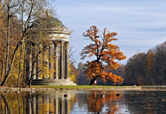 городской пейзаж - осень, пейзаж, дерево - оригинал