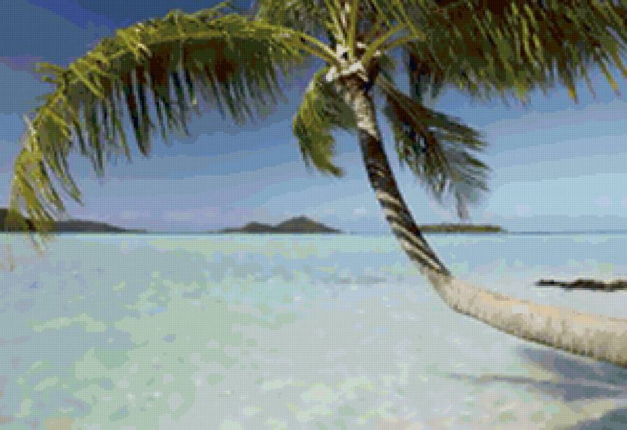 морской пейзаж - море, океан, пейзаж, пальма - предпросмотр