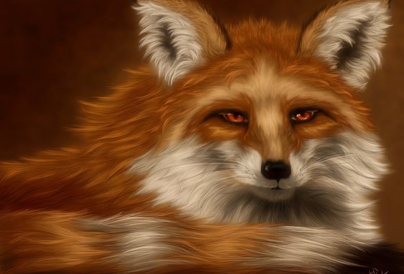 Лис - лиса, животное - оригинал