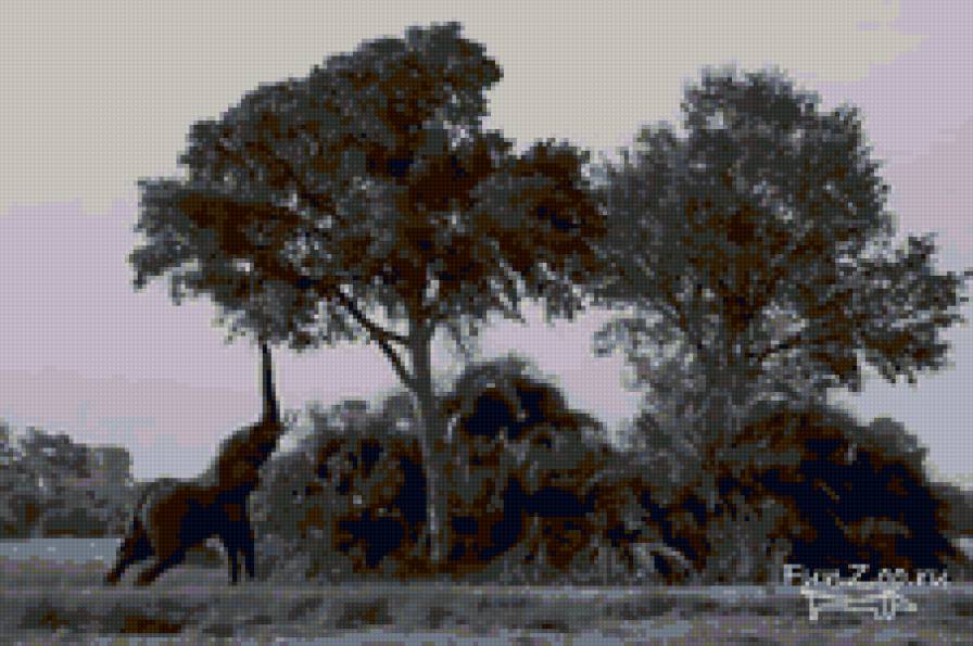 слон - предпросмотр